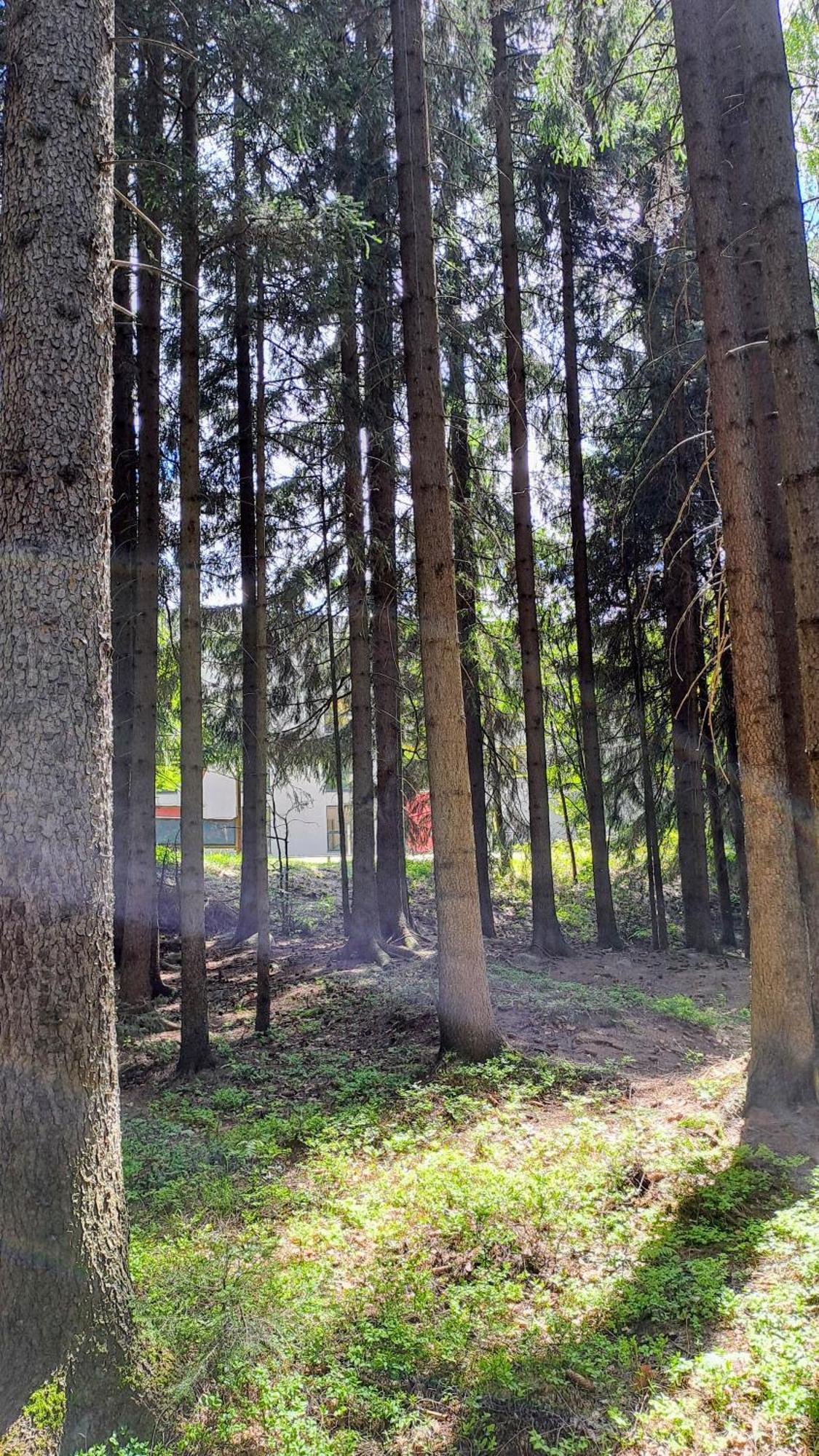 Plne Vybaveny Apartman Pod Mumlavskym Vodopadem, Zahrada S Ohnistem, Idealni Vychozi Bod Pro Turistiku, U Cesty Na Hrebeny, Kousek Do Centra, Absolutni Klid, Vybaveny I Pro Deti, Wellness A Fitko Naproti 哈拉霍夫 外观 照片